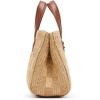 image:imageSteve Madden Womens Steve Madden Flores Raffia Mini ToteCognac