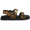 image:imageSteve Madden womens MonaLeopard