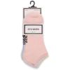 image:imageSTEVE MADDEN 8PK SOLID LOW CUTS BLUSH MULTI 8PK 911
