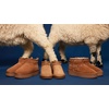 image:imageSteve Madden Womens CrueChestnut
